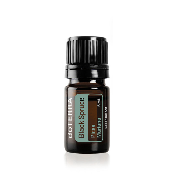 doTERRA Schwarzfichte (Black Spruce) 5ml