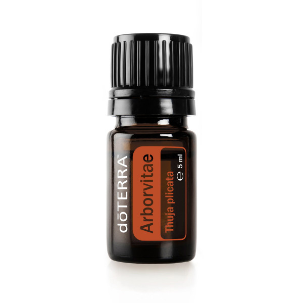 doTERRA Lebensbaum (Arborvitae) 5ml